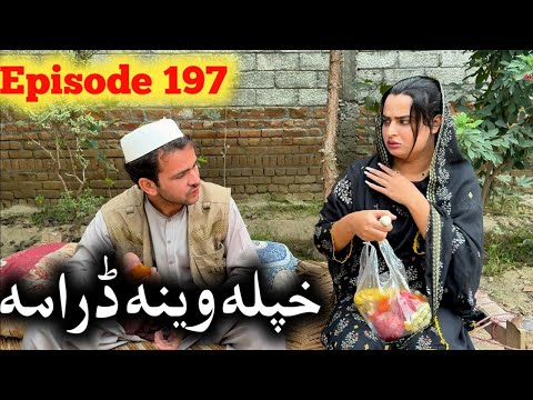 Khpala Weena Drama Episode 197 By Charsadda Vines Director SadiqKhan 2025 #trending 