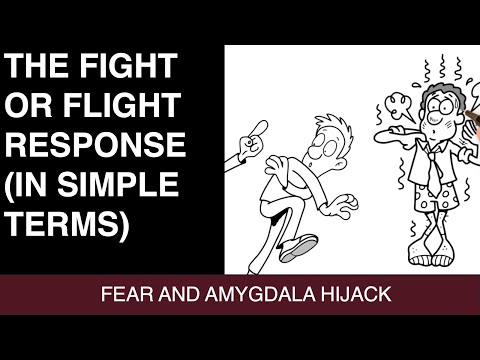 The Fight or Flight Response and What Happens During Amygdala Hijack