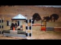 Carousel-Jumping Music Video