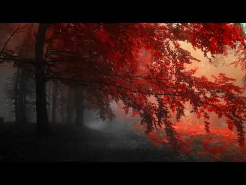 Em về chỉ để xa tôi - Tuấn Ngọc