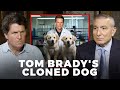 Deeply Disturbing World Renowned Scientist On Cloning And Generically Engineering Super Humans