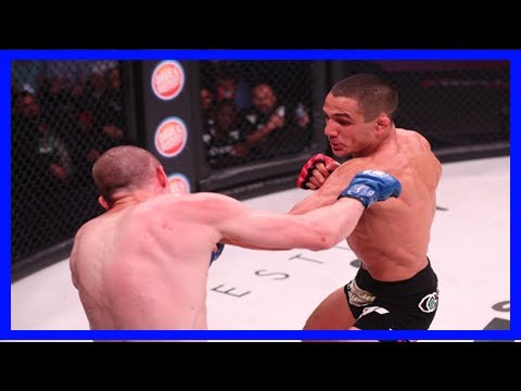 Breaking News | Watch aaron pico’s devastating ko win at bellator 183