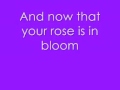 Kiss From A Rose - Seal  (Lyrics)