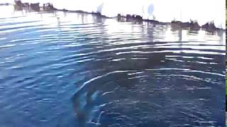 Базы рыболовные в пермском крае