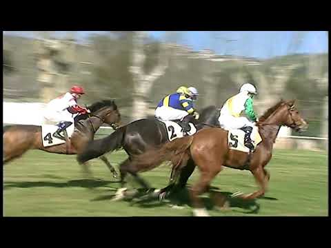 Napoli Galoppo 23/02/20021 - 1ª corsa