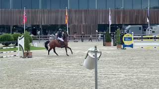 Captain Cooper foutloos ranking proef CSI*** Opglabbeek