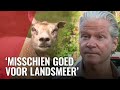 Dries Roelvink peilt stemming in Landsmeer over fusie