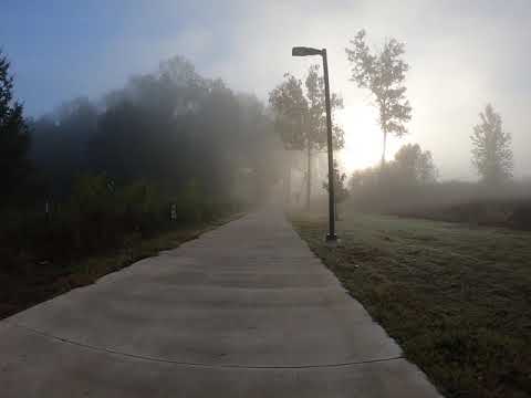 River trail morning fog