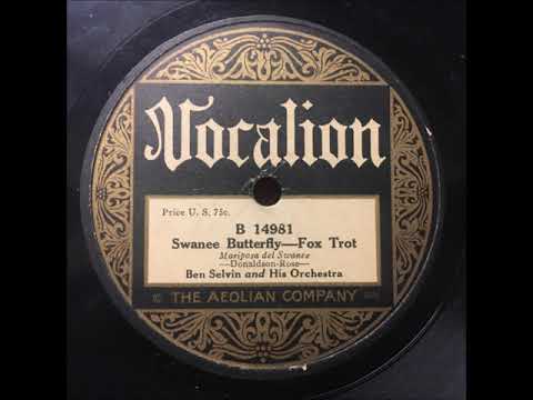 Ben Selvin "Swanee Butterfly" 1925 Vocalion 78 Roaring 20s Jazz Band
