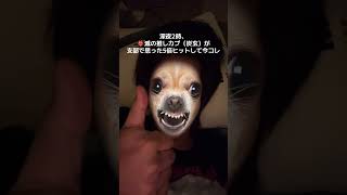 やったー！！！！！＃玄弥にここ数週間狂わされてるけどまあいっか！＃玄弥推し＃一旦落ち着いて考えても炭治郎って天然で男女問わずリアコ多そうだから頭痛くなってきた ＃不死川の長男に見つかりませんように