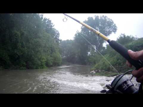 spinning al siluro...i "big" sono in caccia