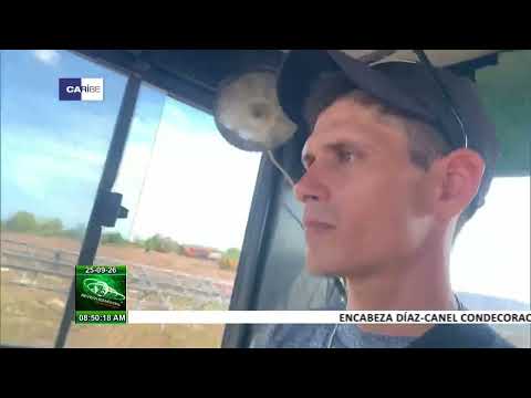 Avanza proceso constructivo del parque solar fotovoltaico Loma del Cedro