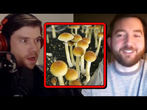 Taking Psychedelics | PKA & StrainCentral