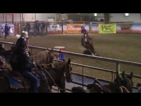 10/29/2017 Havana & KC - BSLBRA #4 Little Wranglers Champion