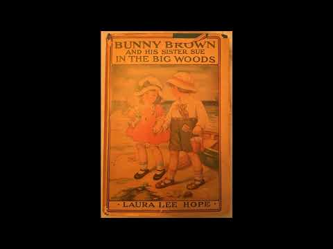 BUNNY BROWN And His SISTER SUE In The BIG WOODS by Laura Lee Hope — free full audiobook