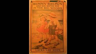 BUNNY BROWN And His SISTER SUE In The BIG WOODS