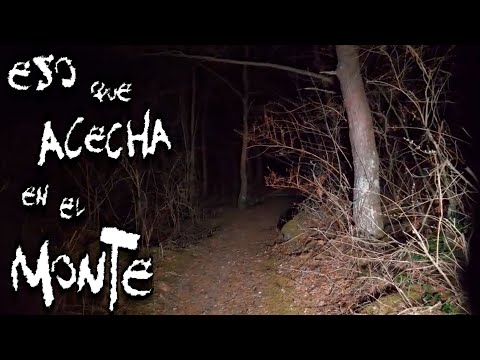 Horror Stories: That Thing Lurking in Guerrero Mountains | Paranormal Frequency | FP