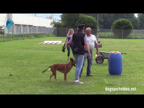 1. DMV Championat - Doris Knapp - Kelly Perle de Tourbiere