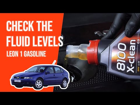 How to check the fluid levels Leon mk1 1.6 16V 📏