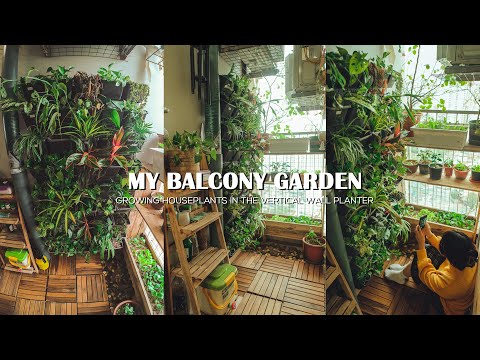 , title : 'Growing Houseplants in the Vertical Wall Garden on the 4m2 Balcony | Balcony Garden Decoration Ideas'