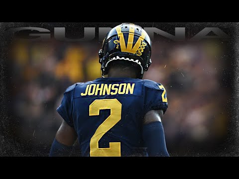 Will Johnson 🔥 Freshman Highlights ᴴᴰ