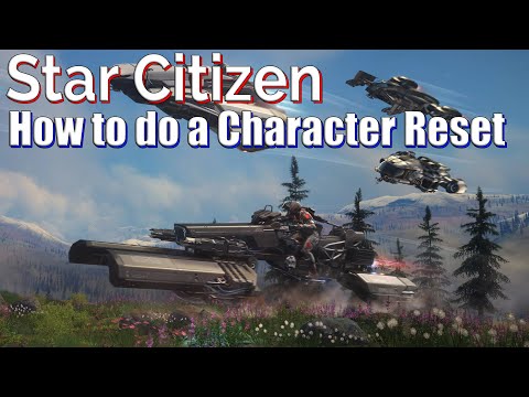 Star Citizen Character Reset