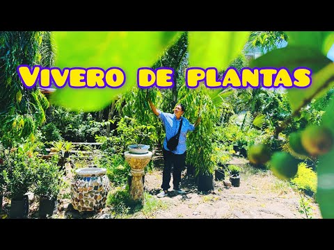 Llegue A Un Vivero De Plantas🌴🌻 en asunción mita vea que belleza de flores Las Que Venden