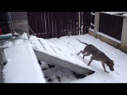 Cum rezolva Kira o problema?