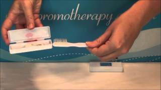 TRAV110-s Travel Toothbrush and Paste Box