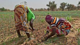 8 Mars à Barsalogho  : La souveraineté a aussi le visage de la femme rurale