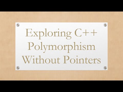 Exploring C++ Polymorphism Without Pointers