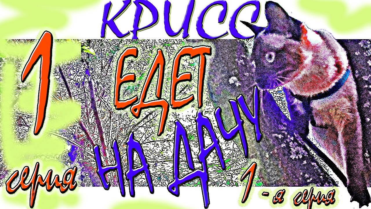 ФИЛЬМЫ thumbnail