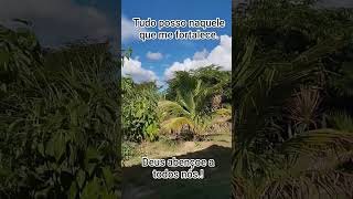 #deusabençõeatodos #bomdia #fe