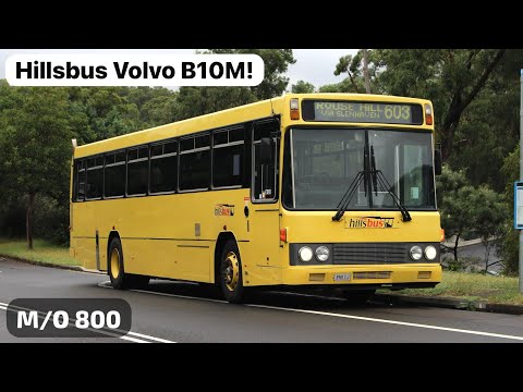 Hillsbus Volvo B10M Ride on M/O 800! | Bus Vlog #66