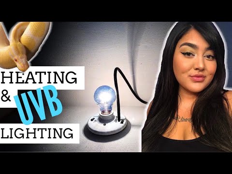 Adding UVB To The DIY Enclosure Kit?!