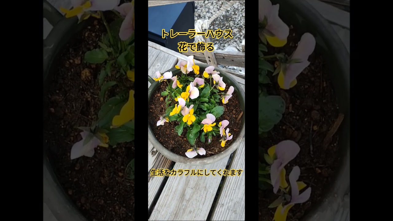 トレーラーハウス　花で飾る