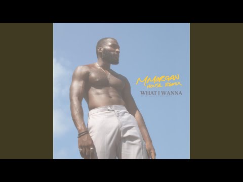 What I Wanna (MMorgan House Remix)