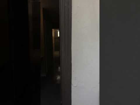 Chic studio in Normal Heights - Video 2 of 2