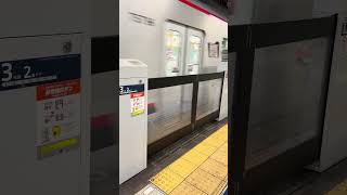 ちょっとだけ鉄分補給