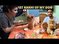 First RakHI oF mY DOG *gone wrong*