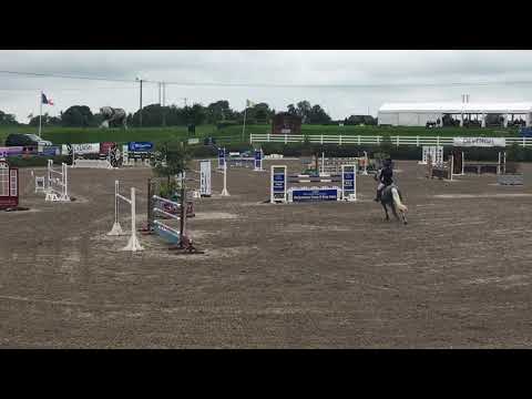 Gray Son 1.30 jump off