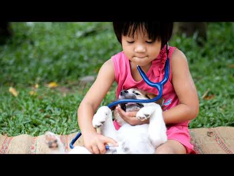 Ohio's 529 video/presentation/materials