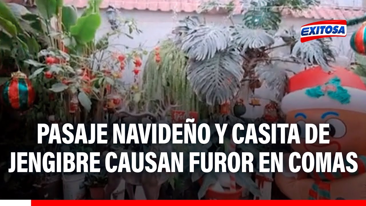 🔴🔵Comas: pasaje Razuri vuelve a causar sensación debido a que se ha convertido en una villa navideña