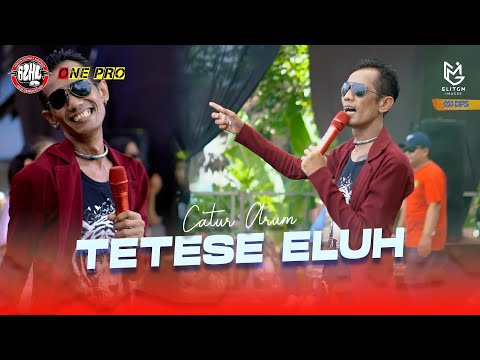 CATUR ARUM - TETESE ELUH || One Pro X JPS Audio [ Live ] PEMUDA GAZHELLA BERSATU