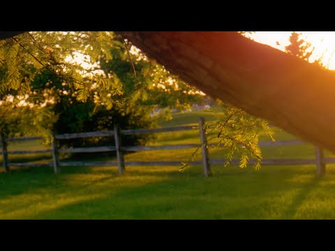 Trailer Milestone No. 2 | The Last Twelve