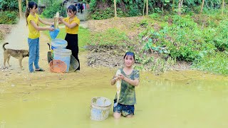 Drain the fish pond and catch fish to sell at the market - daily life amanda - Survival skills