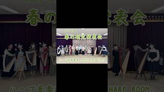 ハープを初めての数ヶ月の方も!【2026年度 春の研究発表会】ご報告 #ハープ#発表会 #音楽教室 #演奏