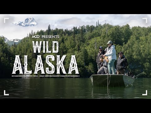 5 Days in Alaska! (Fly-in Salmon Fishing, Bears, Whales, Halibut & More!)