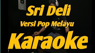 Download lagu Sri Deli Karaoke Pop Melayu Versi KORG PA 700 mp3 Download lagu Sri Deli Karaoke Pop Melayu Versi KORG PA 700 mp3