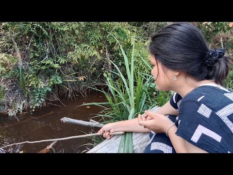 Melihat kehidupan sehari-hari gadis Dayak Tewoyan di Kalimantan.
